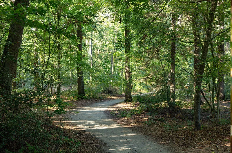 Trauerwaldoase-Wegweiser